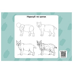 альбом для рисования 24л. на скрепке "милая рысь"