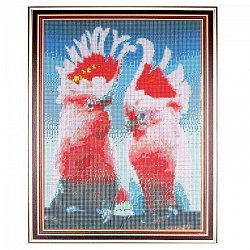 алмазная живопись 40*50см  пара попугаев какаду