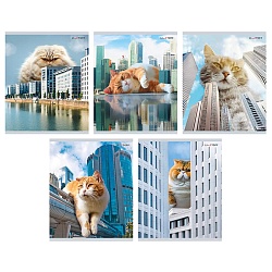 тетрадь  48л лин. "большие коты" обл. мелов. картон