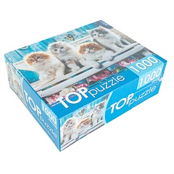 пазлы 1000 элементов котята скоттиш фолд