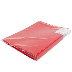 папка  40 файлов 500мкм красная