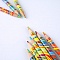 карандаш с многоцветным грифилем "енот и радуга" заточенный