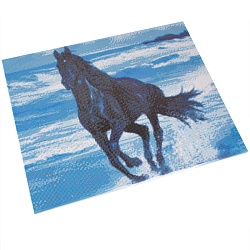 алмазная живопись  40*50см  чёрная лошадь на берегу
