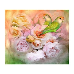 алмазная живопись  40*50см  птички в цветах