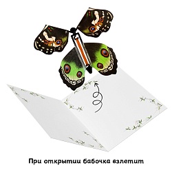 сувенир "бабочка" ассорти